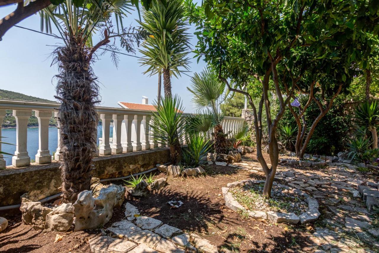 Sea Oasis Apartments - Milosevic Kotor Ngoại thất bức ảnh