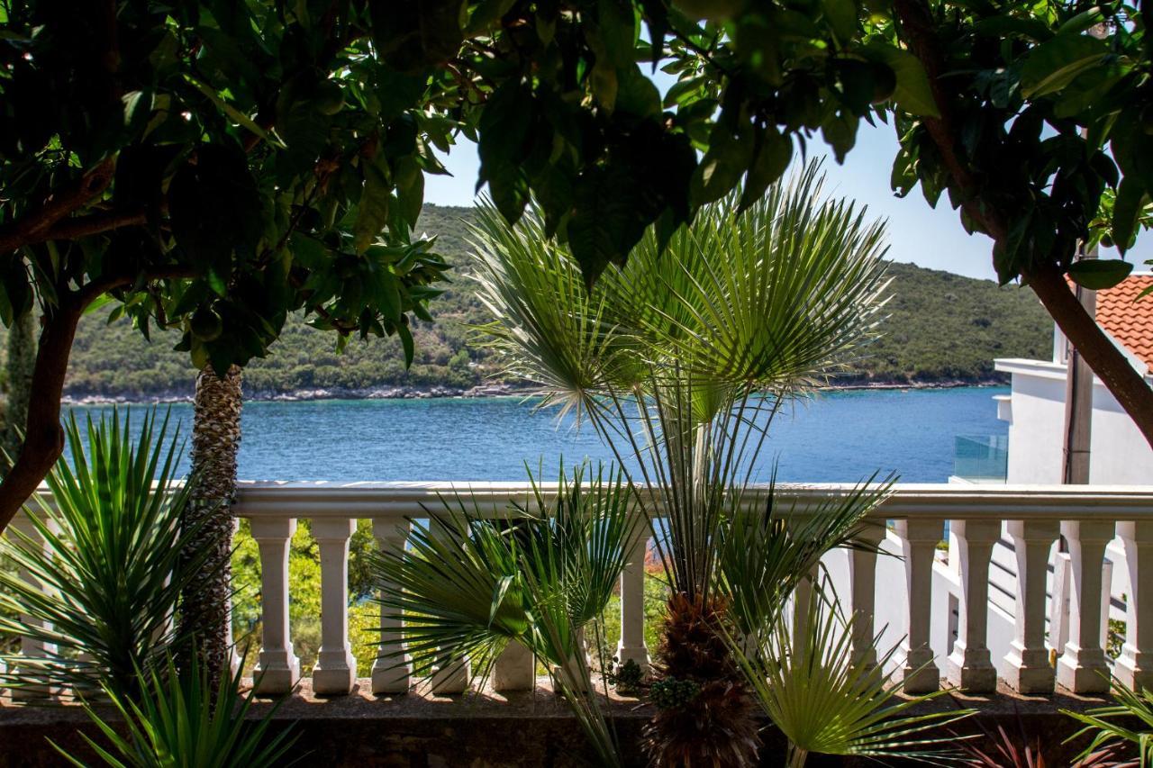 Sea Oasis Apartments - Milosevic Kotor Ngoại thất bức ảnh